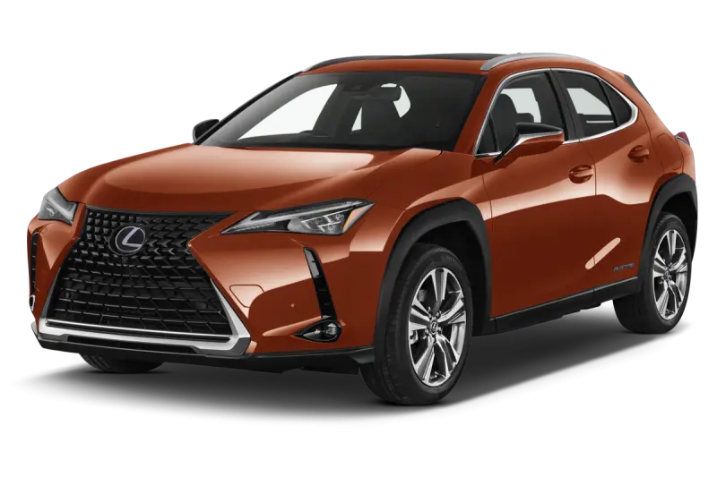 Lexus UX 300e